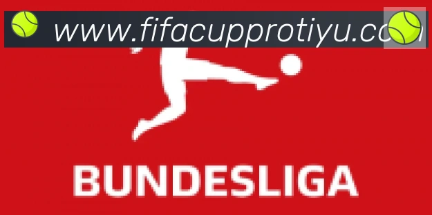 FIFA世界杯赛事官方网站合作伙伴